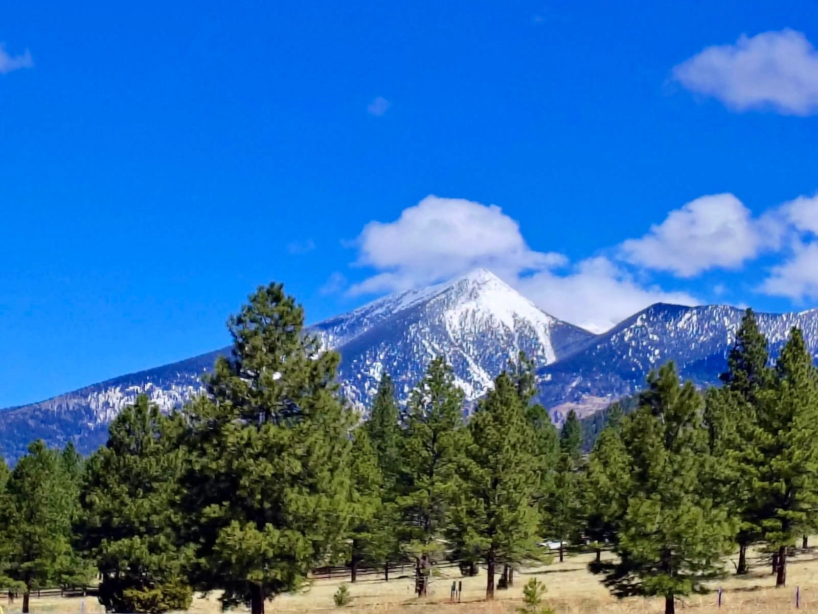 The San Francisco Peaks above Flagstaff, Arizona